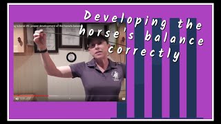 MV Training tutorial 5 proper development of the horses balance [upl. by Nauquf52]