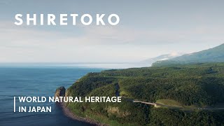 Shiretoko Where Diverse Nature and Wildlife Live in Harmony  World Natural Heritage in Japan [upl. by Fairleigh]