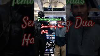 Senandung Dua Hati cover Agus Ciptono [upl. by Twitt969]