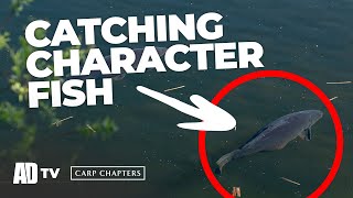 Carp Chapters The Vlog Episode 3  Carthagena Fishery Brooke Lake Syndicate  Carp Fishing [upl. by Geraint]