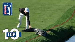 Top 10 Animal Encounters on the PGA TOUR [upl. by Iclehc]