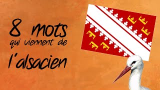 8 mots français empruntés à lalsacien  PTE HS2 [upl. by Pinto]