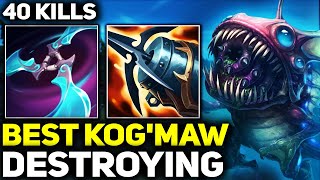 RANK 1 BEST KOGMAW SHOWS HOW TO DESTROY  League of Legends [upl. by Shiller]