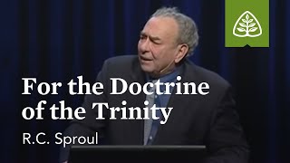 RC Sproul For the Doctrine of the Trinity [upl. by Anihcak]