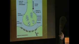 Conférence de Jérôme MANETTA Nutritionniste  Docteur des Universités en Physiologie Part 1 [upl. by Linda918]