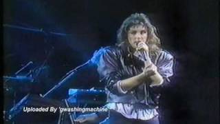 Laura Branigan  quotPower Of Lovequot LIVE 1988 [upl. by Esiuolyram]