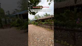 Simlipal Eco Cottage Resort Simlipal National ParkOdisha simlipalecocottage simlipalnationalpark [upl. by Nocaed479]