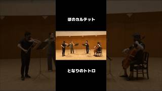 となりのトトロ弾いてみた 撮影日2020年11月 弦楽四重奏 ヴァイオリン バイオリン 弾いてみた ヴィオラ チェロ カルテット stringquartet となりのトトロ [upl. by Domeniga242]