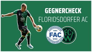 FC Wacker Innsbruck  Gegnercheck FAC [upl. by Ytnom883]