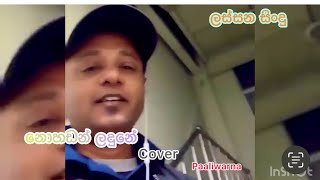 Nohadan Ladune නොහඩන් ලදුනේ Cover Paaliwarna [upl. by Melvyn365]