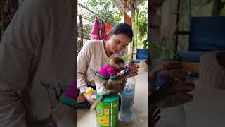 funnymoments funny comedy monkey monkeys gorilla funnyvideo like [upl. by Nyrmak132]