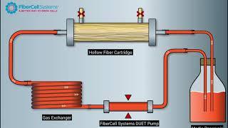 Hollow Fiber Bioreactor for Cell Culture by FiberCell Systems [upl. by Berardo]