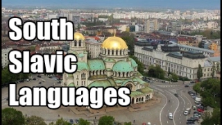 The South Slavic Languages  MultaVerba Language Video [upl. by Grearson]