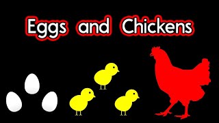 CVIFriendly Eggs and Chickens Life Cycle for kids Adapted for low vision [upl. by Acilgna]