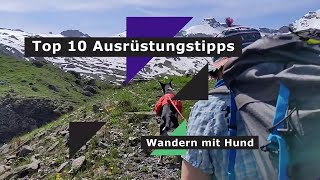 Wandern mit Hund Top 10 Ausrüstungstipps [upl. by Tristan141]