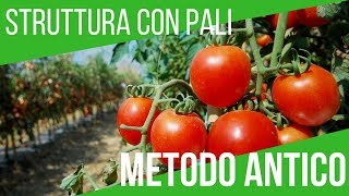 COME COLTIVARE I POMODORI SOSTEGNO CONCIME TRAPIANTO  How grow tomatoes italian technology [upl. by Maureene]