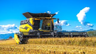 FIRST CR10 ITALY 🇮🇹  NEW HOLLAND CR 10  RICE HARVEST [upl. by Cherie]