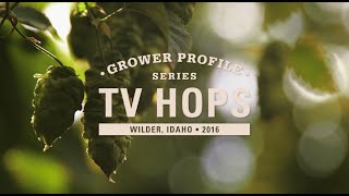 Grower Profile TV Hops [upl. by Shaine]