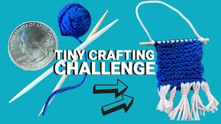 Mini Crafts Challenge  Knitting WithToothpicks [upl. by Goody]