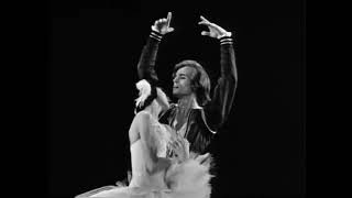 Margot Fonteyn amp Rudolf Nureyev beautiful performance SWAN LAKE a Tchaikovsky ballet 1965 [upl. by Aleusnoc325]