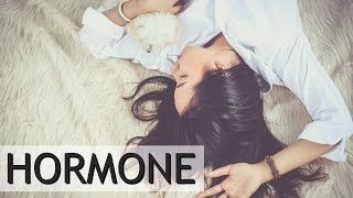 Die verrückte Welt der HORMONE ♥ [upl. by Eirb]