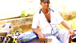 ganaapelow i Want A Lie A Die Maima Azhaga vaippa mai GANA APELOW COVER SONG BYGANA BUVAN43 [upl. by Yrrem]