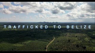 trafficked to belize trailer 4k [upl. by Stila]