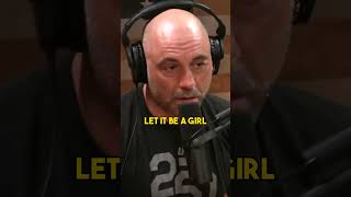 Joe Rogan DESTROYS Adam Conover shorts [upl. by Aninnaig634]