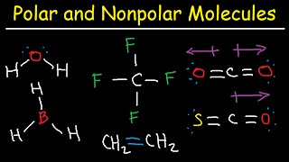 Polar and NonPolar Molecules How To Tell If a Molecule is Polar or Nonpolar [upl. by Traci]