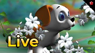 🔴 LIVE STREAM 🎬 Pupi Malayalam Cartoon Full Movie Live for Kids 😻 🐶 [upl. by Ordisi]