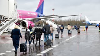 Referendumas dėl dvigubos pilietybės bus rengiamas dvi dienas [upl. by Darsie]