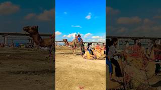 Kumbh Nagari ll Prayagraj II viralvideo youtubeshorts shortsfeed whatsappstatus trending shorts [upl. by Nakeber]