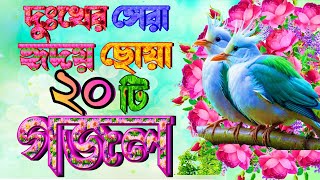 Selected 20 Gojol Best New Gazal সকলের পছন্দের ২০টি বাছাই করা গজল Bangla Gazal Islamic Top Gazal [upl. by Medlin]