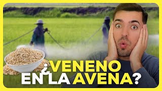 Los 6 MOTIVOS que te ALEJARÁN de la AVENA [upl. by Murry562]