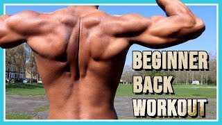 Calisthenics Back Workout for Absolute Beginners START HERE [upl. by Ellatsirhc]