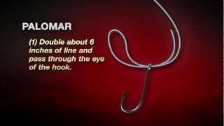 How To Tie The Palomar Knot In 4 easy steps [upl. by Gretel]