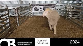 Lot 140  OB230135 [upl. by Ahsoem147]