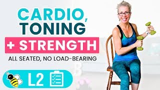 25 Minute SEATED Cardio Toning  Strength Workout  BURN 200 Calories [upl. by Aleka]