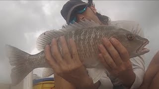 Mangrove Snapper Fishing  How to catch [upl. by Eidnalem]