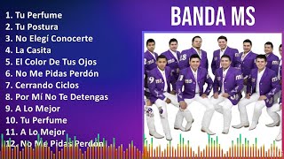 Banda MS 2024 MIX Grandes Exitos  Tu Perfume Tu Postura No Elegí Conocerte La Casita [upl. by Enwahs537]