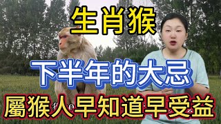 生肖猴！2024年下半年最忌諱什麼？屬猴人大忌的顏色！屬相猴不可不知！運勢 風水 生肖 2024 佛教 [upl. by Roye]