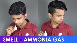 Reaction  Ammonia Gas  ThinkTac  DIY Science [upl. by Aettam299]