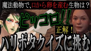 【まとめ】超難問ハリポタクイズに挑戦する花畑チャイカ【にじさんじ切り抜き花畑チャイカホグワーツ・レガシーハードモード】 [upl. by Brnaba]