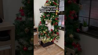 OS GATOS QUEBRARAM NOSSA ÁRVORE DE NATAL😭🎄 gato gatos gatinho gatinhos gatosfofos gatobranco [upl. by Hailee]