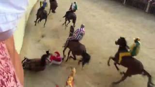 Palio di Siena 2016 crash [upl. by Yreneh]