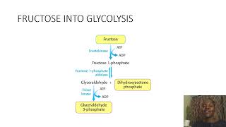 Biochemistry SimplifiedFructoseANDGalactoseintoGlycolysis [upl. by Lytle]