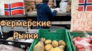 КАКИЕ ОНИ и ГДЕ НАЙТИ Фермерские Рынки в Норвегии [upl. by Letsirhc108]