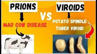 Subviral Particles  Prion and Viroid  prions vs Viroids [upl. by Anuayek]