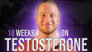 18 Week Testosterone Cycle Update [upl. by Earahs]