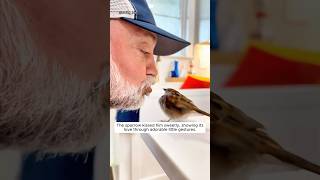 Grandpa rescued a sparrow and found it so clingy [upl. by Emili]